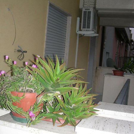 Mastru Nicola Apartman Castellammare del Golfo Kültér fotó